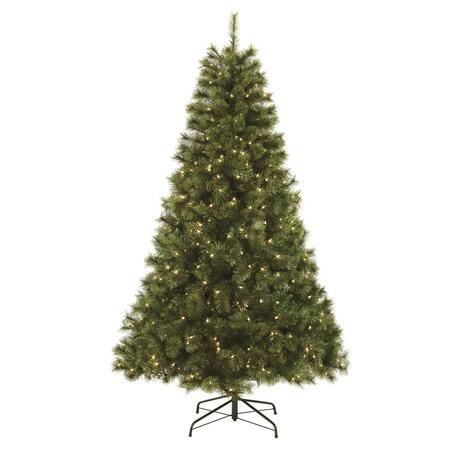 MAQUINA 7 ft. Isobel Aspen Clear Tree MA3003449